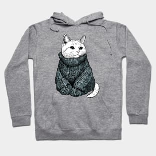 The Sweater Model Cat Hoodie